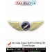 Air India Crew | Staff Full Wing (3D) Chest Badge : ArmyNavyAir.com