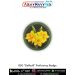 BSG Daffodil Proficiency Badge - Combo of 2 Patches
