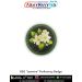 BSG Jasmine Proficiency Badge digital printed patch with green merrow border for Bharat Scouts and Guides uniform