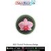 BSG Orchid Proficiency Badge – Combo of 2 Patches