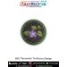BSG Periwinkle Proficiency Badge – Combo of 2 Patches