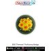 BSG Primrose Proficiency Badge – Combo of 2 Patches