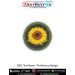 BSG Sunflower Proficiency Badge – Combo of 2 Patches