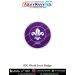 BSG World Scout Badge : ArmyNavyAir.com