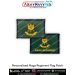 Naga Regiment Flag Patch : ArmyNavyAir.com
