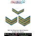NCC Air Golden Zari Chevron : ArmyNavyAir.com