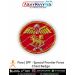 Para|SFF -Special Frontier Force Chest Badge : ArmyNavyAir.com