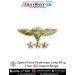 Special Force Parachutist Paratrooper Jump Wings Badge (3D) 3 Star Insignia Badge : ArmyNavyAir.com