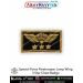 SF Parachutist Paratrooper Jump Wings 3 Star Chest Badge: ArmyNavyAir.Com