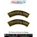 Indian Army TA | Territorial Army Zari Arm Badge : ArmyNavyAir.com