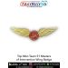 Top Men Team 51 Masters Of Intervention Wing Badge : ArmyNavyAir.com