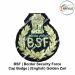 BSF | Border Security Force Cap Badge (English) Head Badge Golden Zari Bullion Wire Work Embroidery (Hand Crafted)
