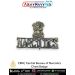 CBN | Central Bureau of Narcotics Chest Badge (Brass-Gilt) : ArmyNavyAir.com