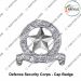 DSC Defence Security Corps Cap Badge : ArmyNavyAir.com