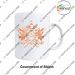 All States Government Mugs |Indian State-Union Territories Government Souvenir-Gift Mugs-Sikkim