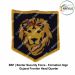 BSF Formation-Div Sign |Border Security Force -Gujarat