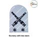 Indian Coast Guard Rank & Branch Badges (Sailors) For Summer Uniform-Gunnery With Two Stars ( New Technology ) 9.5cm H X 6.5cm W