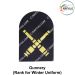 Indian Coast Guard Rank & Branch Badges (Sailors) For Winter Uniform-Gunnery ( New Technology ) 9.5cm H X 6.5cm W