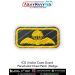 Navy Parachutist Badge : ArmyNavyAir.com
