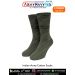 Pair of olive green Indian Army cotton socks shown as a set of 3 pair in the value pack styled for training and duty highlighting reinforced heel and toe elastic arch support breathable cotton blend fabric ideal for daily military and outdoor use from Arm