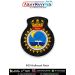 Indian Navy INS Nirdeshak Patch