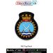 Indian Navy INS Teg Patch