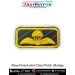 Navy Parachutist Badge : ArmyNavyAir.com