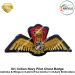 IN | Indian Navy Pilot Chest Badge Embroidery : ArmyNavyAir.com