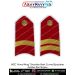 NCC Army Wing Shoulder Rank "Curved Epaulette" Golden Zari : ArmyNavyAir.com