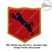 BSF Punjab FTR Formation Div Sign : ArmyNavyAir.com