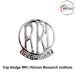 RRI Raman Research Institute Security Cap Badge :ArmyNavyAir.com