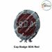 SDA Security Cap Badge : ArmyNavyAir.Com