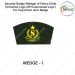 Security Badge (Wedge) oF Fabric-Cloth (Universal Logo OR Customised Logo ) For Cap-Chest -Arm Badge- WEDGE Design 1-3 Inch Height