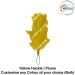 Hackle Yellow : ArmyNavyAir.com