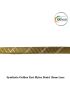 Synthetic Golden Zari Mylar Braid 13mm Lace | Chughs Navyug