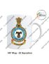 IAF  Squadrons Mug |Indian Airforce Mug Souvenir Gift-25 Squadron