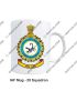 IAF  Squadrons Mug |Indian Airforce Mug Souvenir Gift-29 Squadron