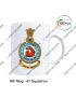 IAF  Squadrons Mug |Indian Airforce Mug Souvenir Gift-41 Squadron