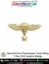 Special Force Parachutist Paratrooper Jump Wings Badge (3D) 1 Star Insignia Badge : ArmyNavyAir.com