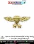 Special Force Parachutist Paratrooper Jump Wings Badge (3D) 2 Star Insignia Badge : ArmyNavyAir.com