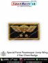 SF Parachutist Paratrooper Jump Wings 2 Star Chest Badge: ArmyNavyAir.Com