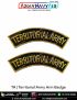 Indian Army TA | Territorial Army Zari Arm Badge : ArmyNavyAir.com