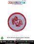 Boy Rovers Proficiency Badge BSG : ArmyNavyAir-Boxer