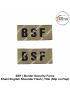 BSF  Title Uniform Shoulder Flash -Badge (Hindi- English ) ( Central Armed Police Forces) Border Security Force Shoulder Flasher  Slip On Title- Badge