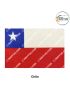 International-National Flag Of Your Country (All - South America Country Flags ) Indoor- Outdoor : Chughs Navyug -Chile- H 12