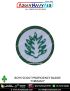 Boy Scout Proficiency Badge BSG : ArmyNavyAir-Fireman