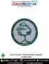 Boy Scout Proficiency Badge BSG : ArmyNavyAir-Forester
