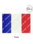 International-National Flag Of Your Country (All - Europe Country Flags ) Indoor- Outdoor : Chughs Navyug -France