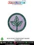 Boy Scout Proficiency Badge BSG : ArmyNavyAir-Herbalist