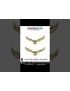 NCC Eagle Brass Badge: ArmyNavyAir.com